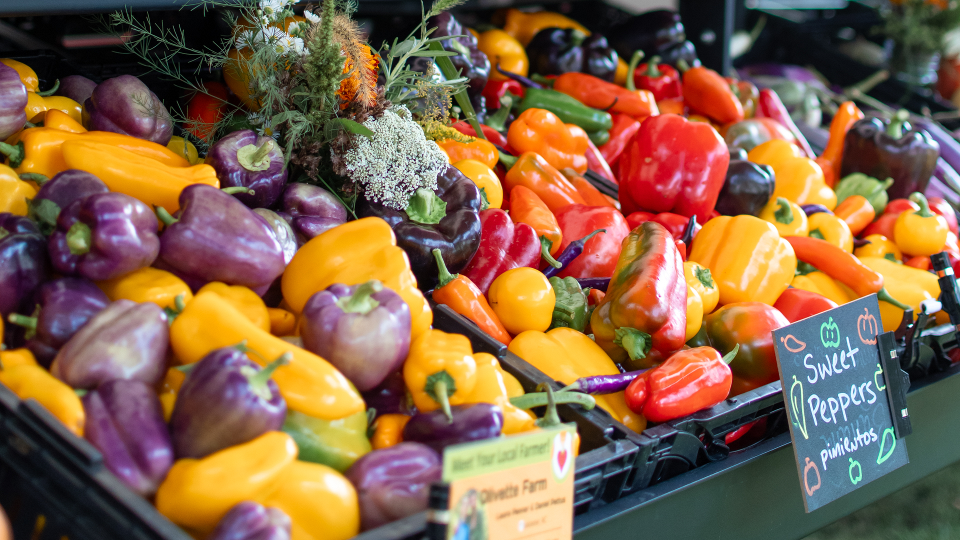 Farmers Market Truck, Asheville NC, Bounty & Soul, nonprofit, food insecurity