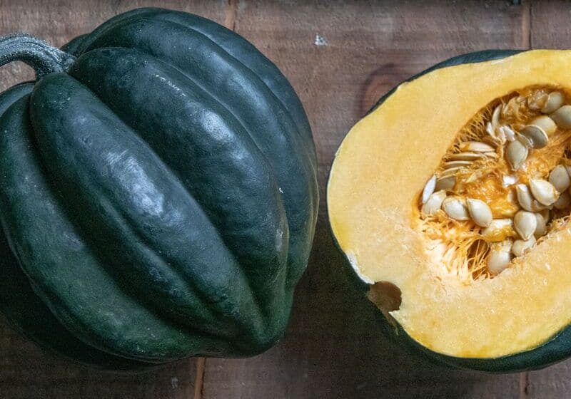 Acorn Squash from Johnny Seed