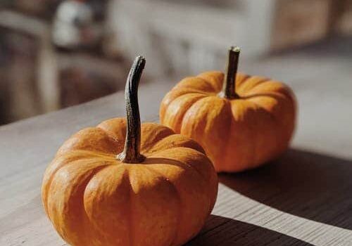 pumpkins_(non energy balls pic)