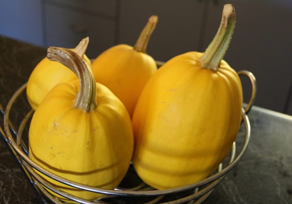 spaghetti squash bowl